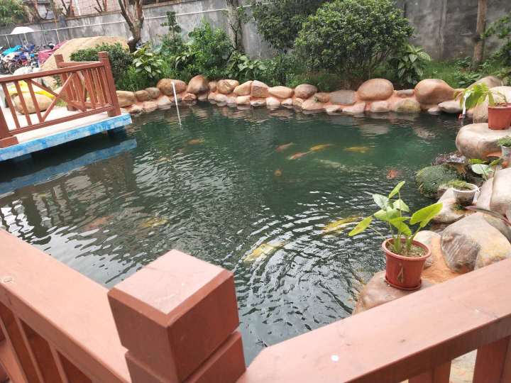 东莞市皇育智能有限公司图6