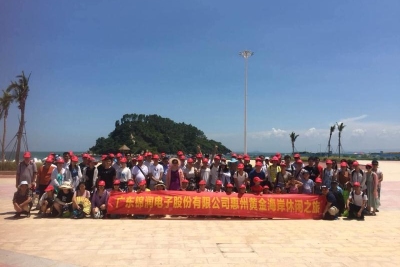 广东锦润电子股份有限公司图6