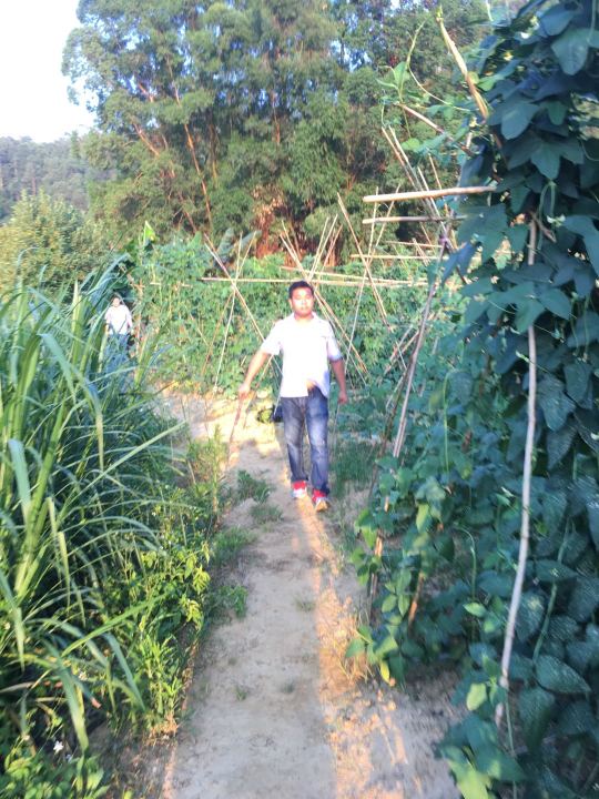 东莞市时运佳实业投资有限公司图6