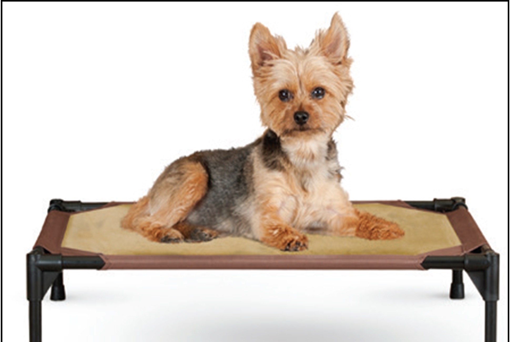 东莞市德鸿电器制品有限公司图5