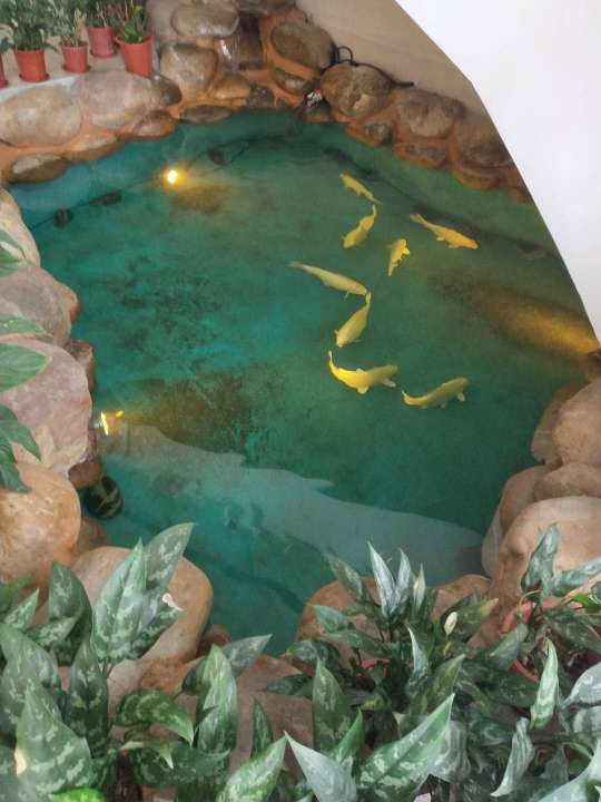 东莞市皇育智能有限公司图7