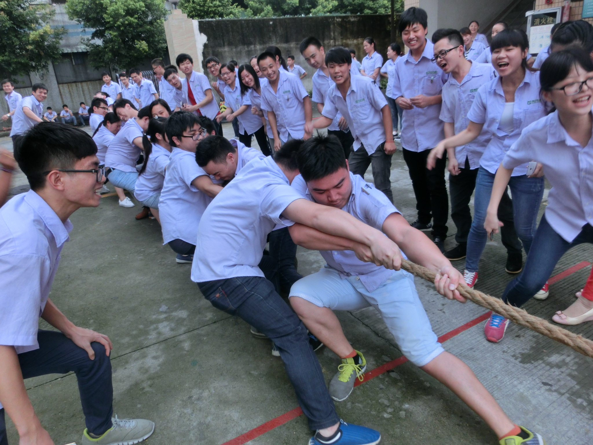 东莞市科佳电路有限公司图4