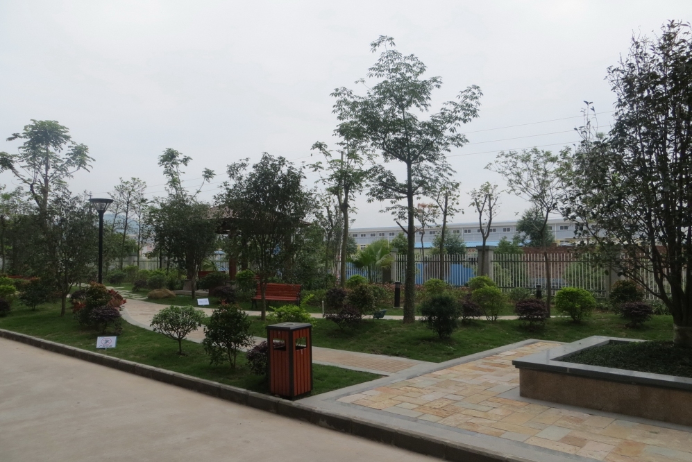 江门市大平木业有限公司图5