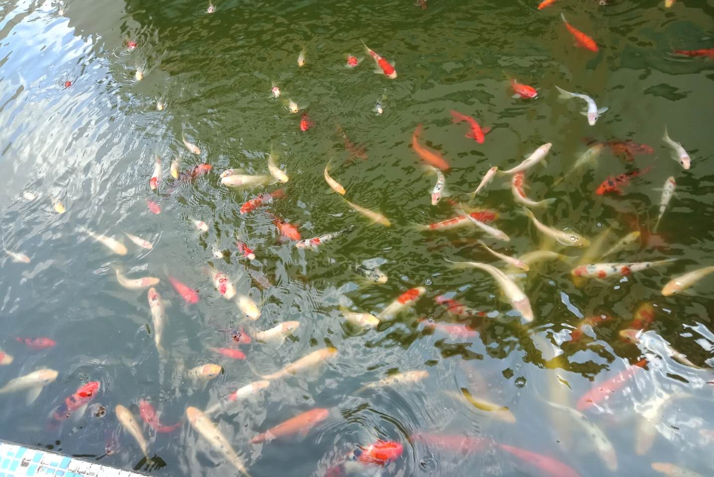 东莞市江企电子科技有限公司图3