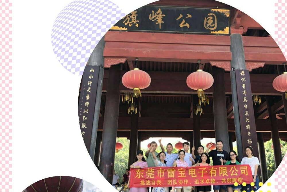 东莞市雷宝电子有限公司图1