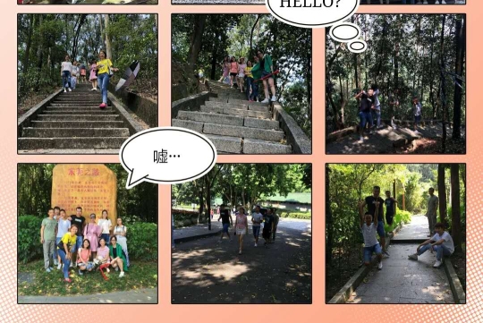 东莞市雷宝电子有限公司图4