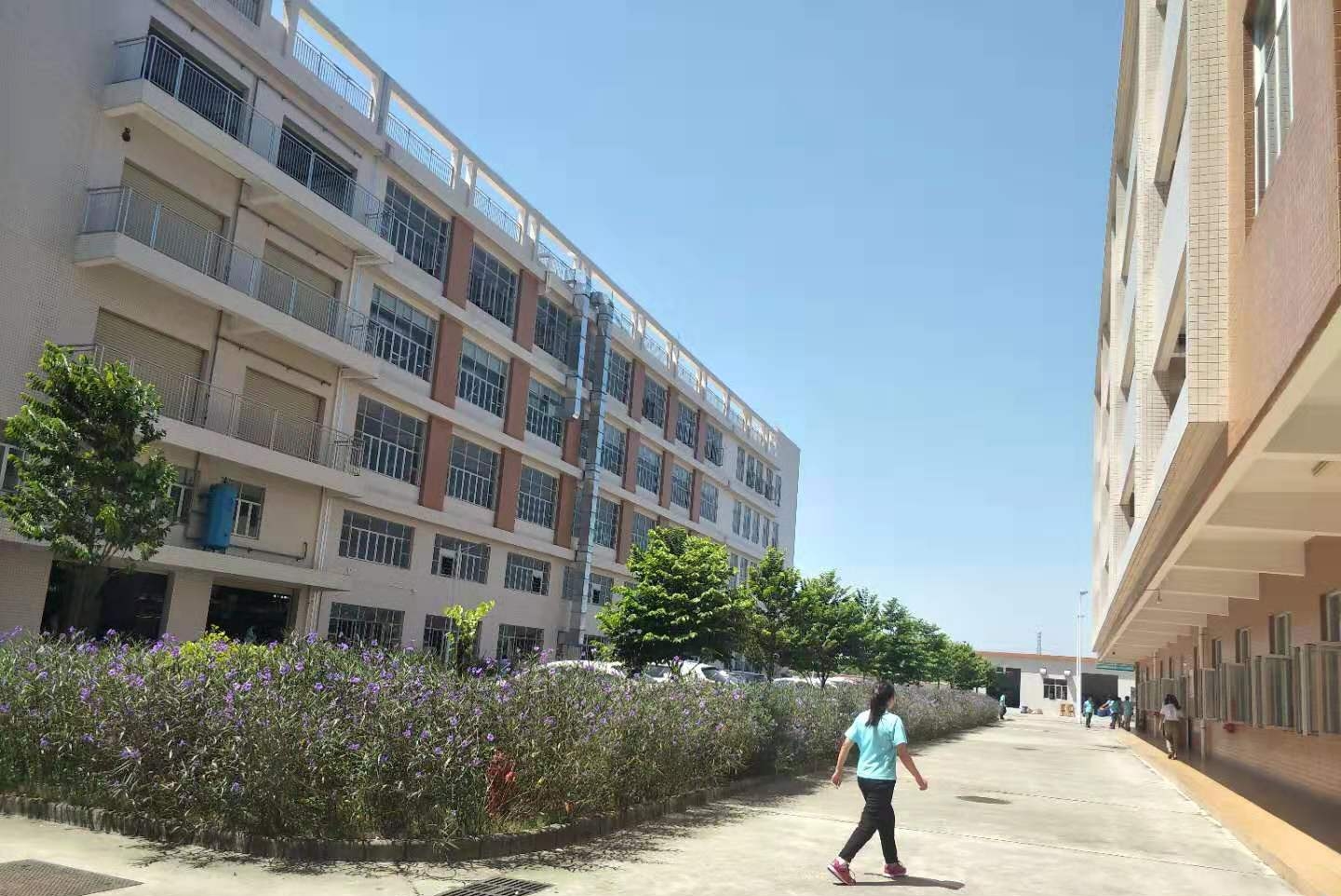 东莞声毅电子有限公司图6