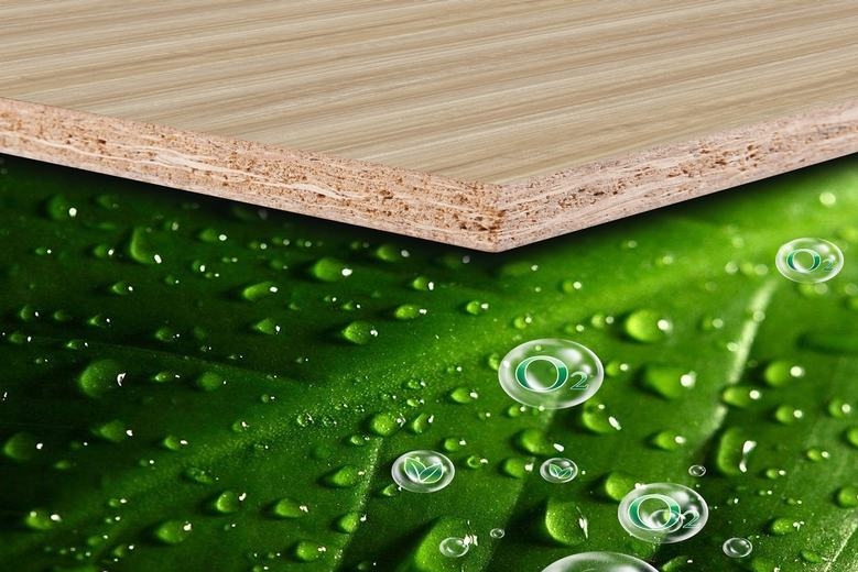 东莞市申隆装饰材料有限公司图3