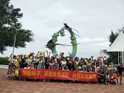 东莞市瑞勤电子有限公司图2