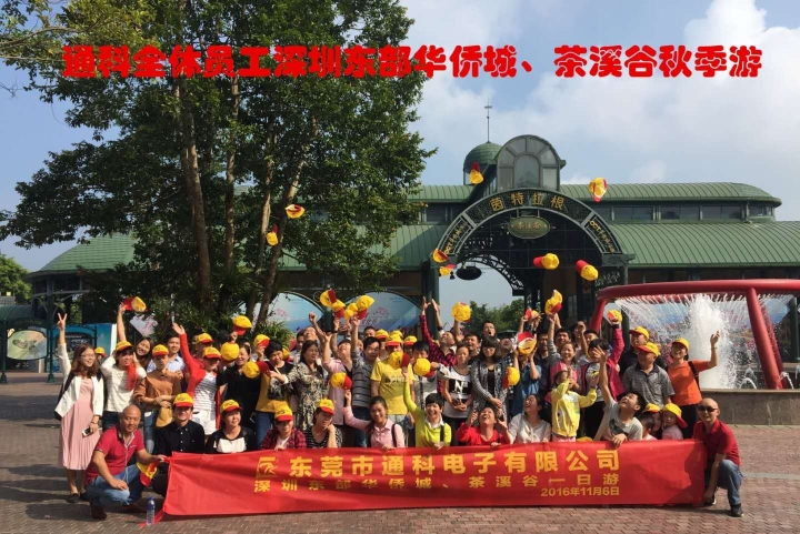 东莞市通科电子有限公司图1