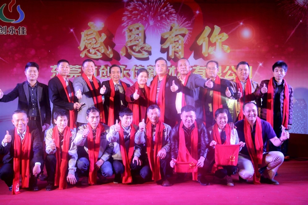 广东创永佳新材料有限公司图5