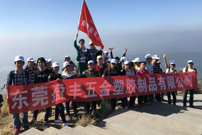 东莞盈丰五金塑胶制品有限公司图5