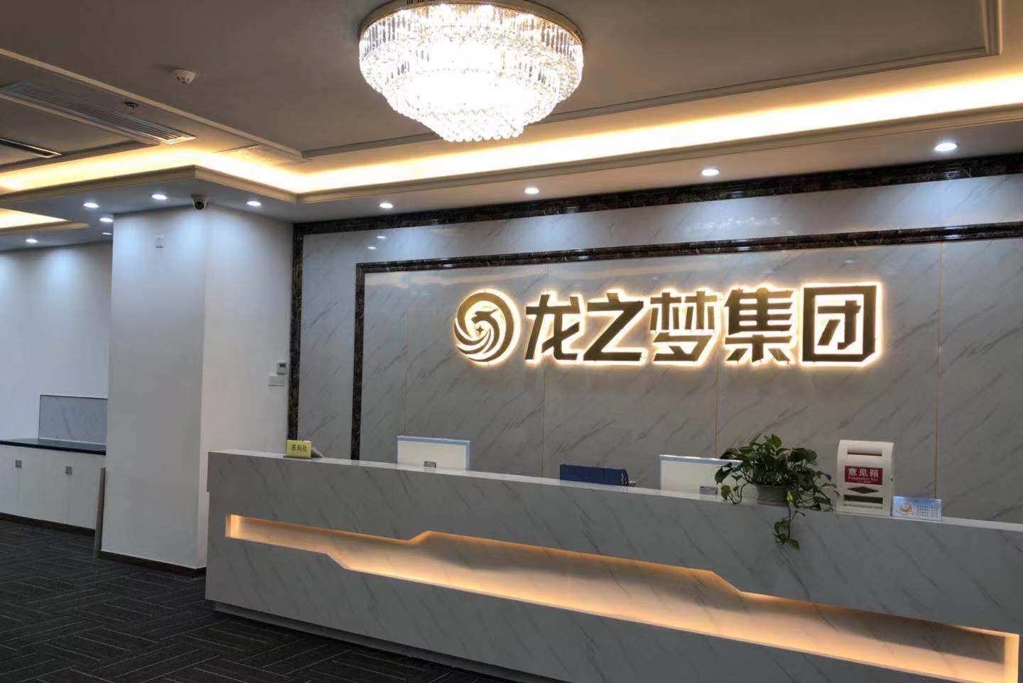 龙之梦控股（广东）有限公司图5