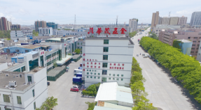 东莞市华茂电子集团有限公司图1