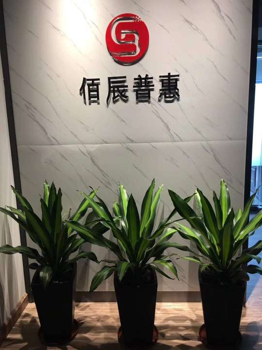 东莞市佰辰信息服务有限公司(筹备中)图1