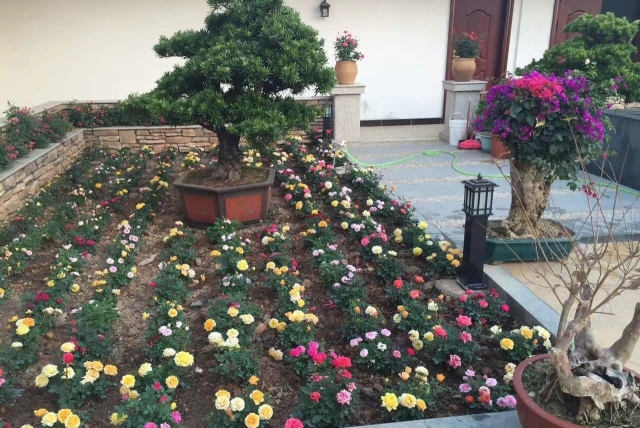 东莞安姆科扣具有限公司图8