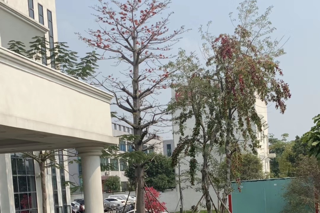 东莞安姆科扣具有限公司图7