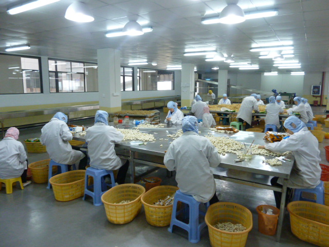 温州源飞宠物玩具制品股份有限公司图3