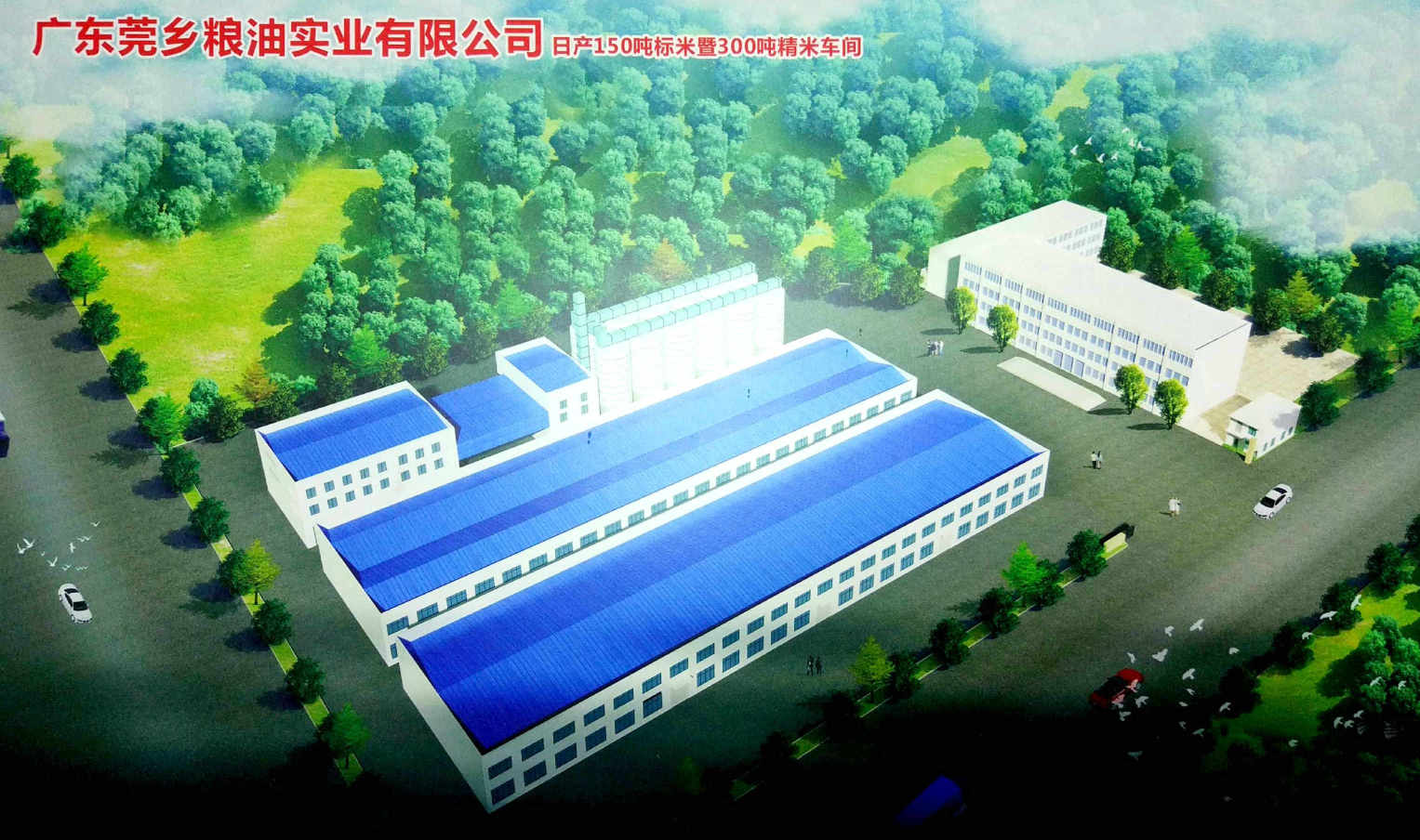 东莞市莞乡粮油有限公司图1