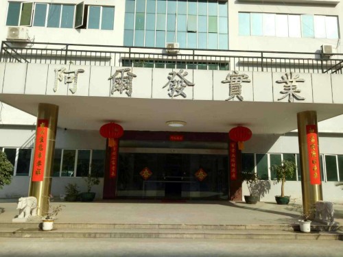 东莞市阿尔发实业有限公司图1
