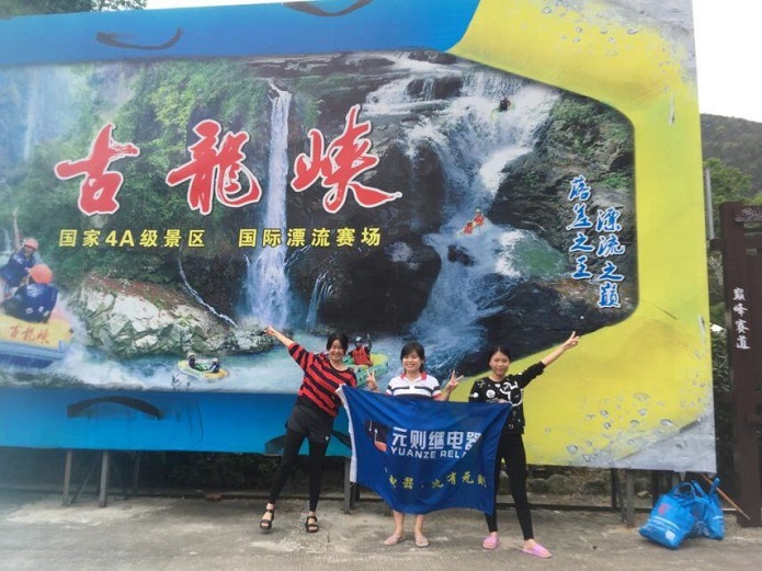 东莞市元则电器有限公司图6