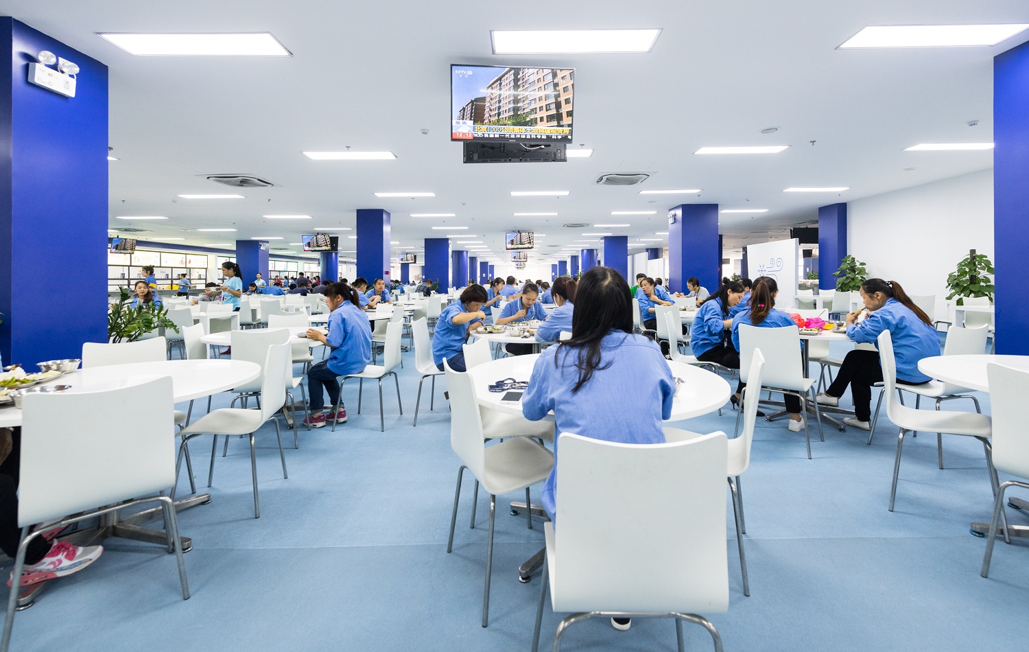 陆逊梯卡华宏（东莞）眼镜有限公司图1