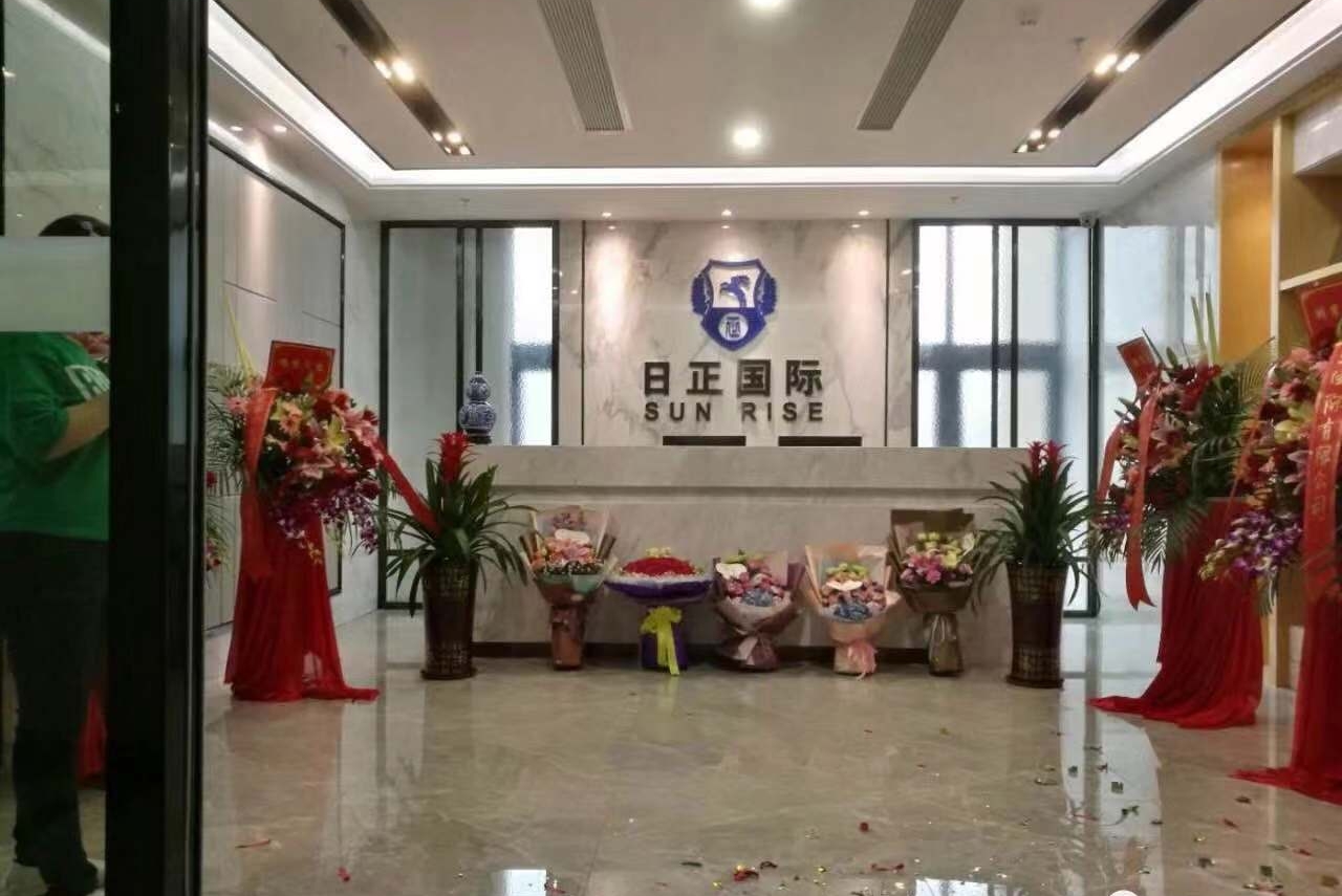 东莞市日正国际货运代理有限公司图1