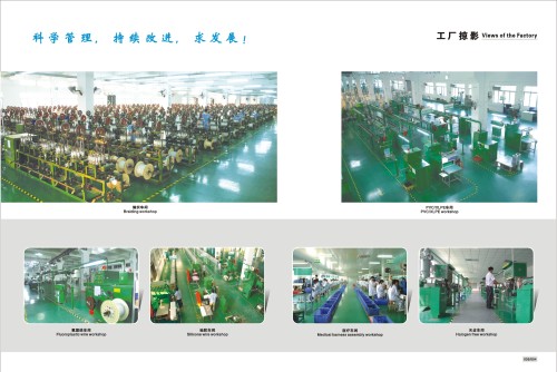 广东博雷电线电缆有限公司图1