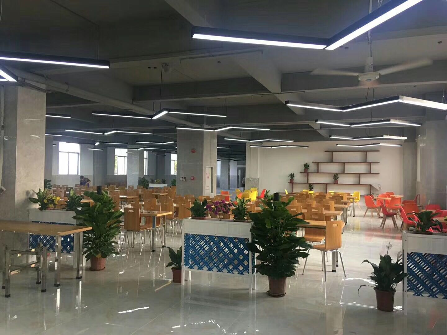 广东东君照明有限公司图2