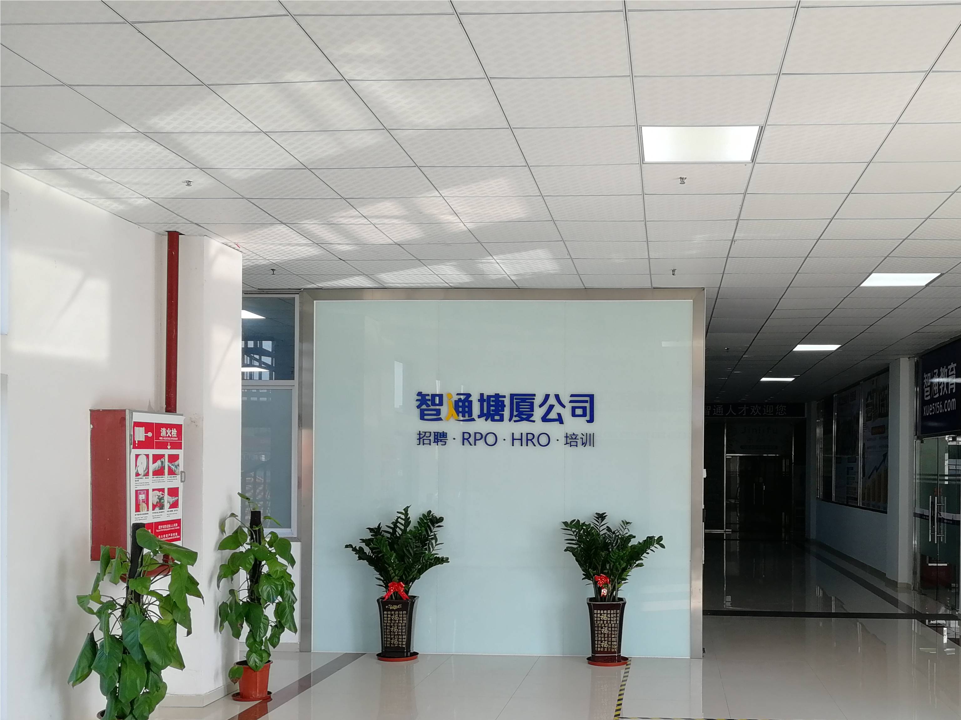 东莞市智盈人力资源服务有限公司图2