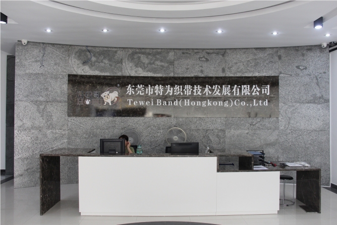 东莞市特为织带技术发展有限公司图1