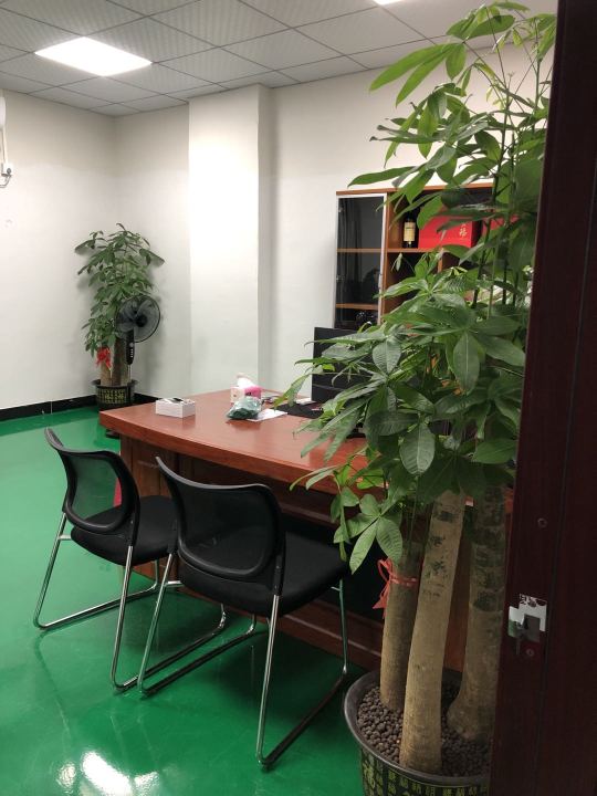 东莞市心创美保健用品有限公司图3