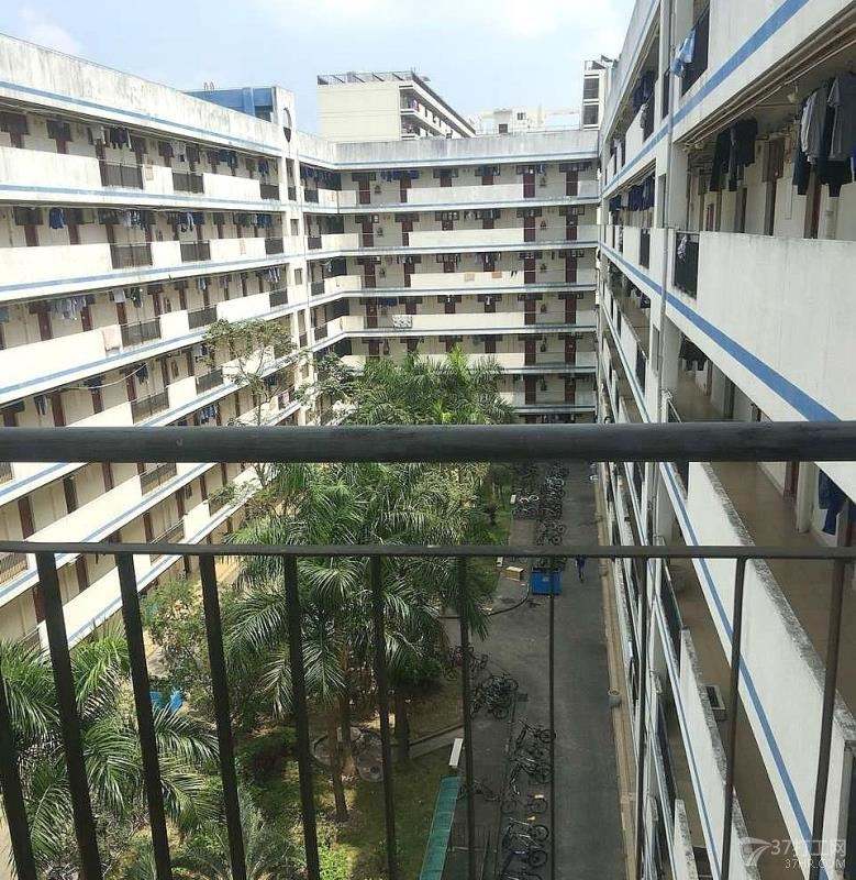 东莞富强电子有限公司(HR)图8