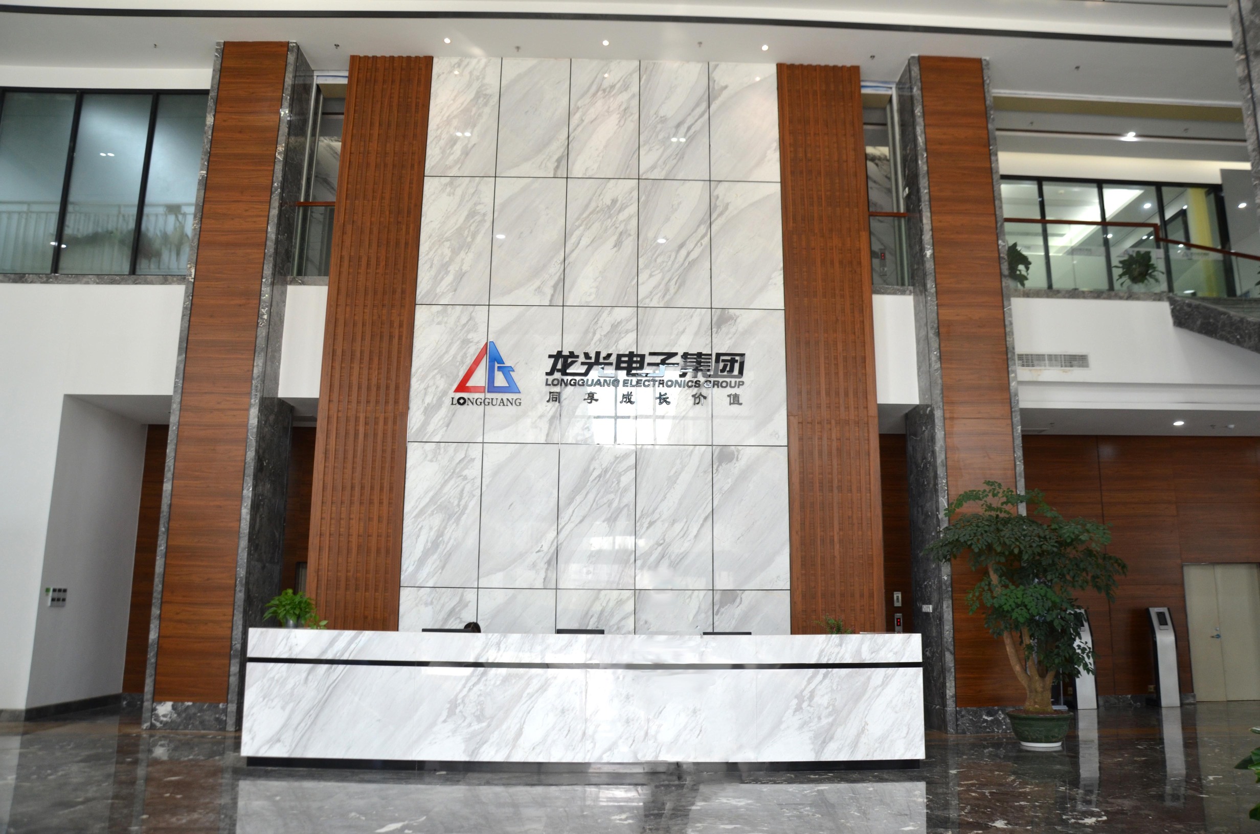 龙光电子集团有限公司图5