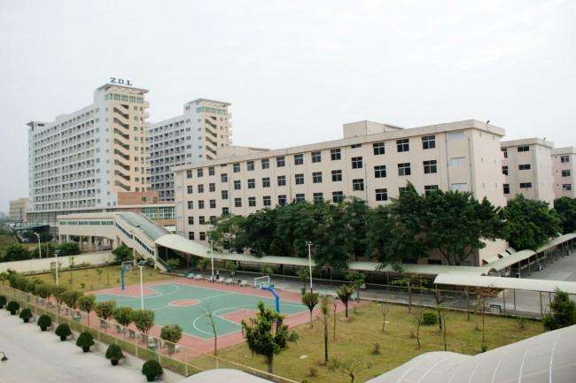 东莞富强电子有限公司(HR)图2