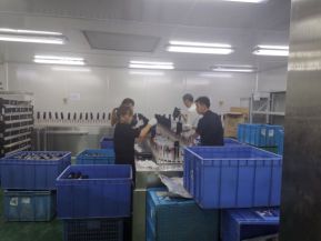 东莞市瑞美电子科技有限公司图1