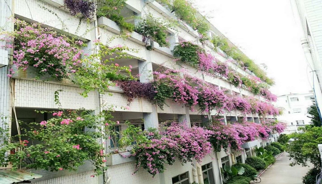 东莞立洋电机有限公司图1