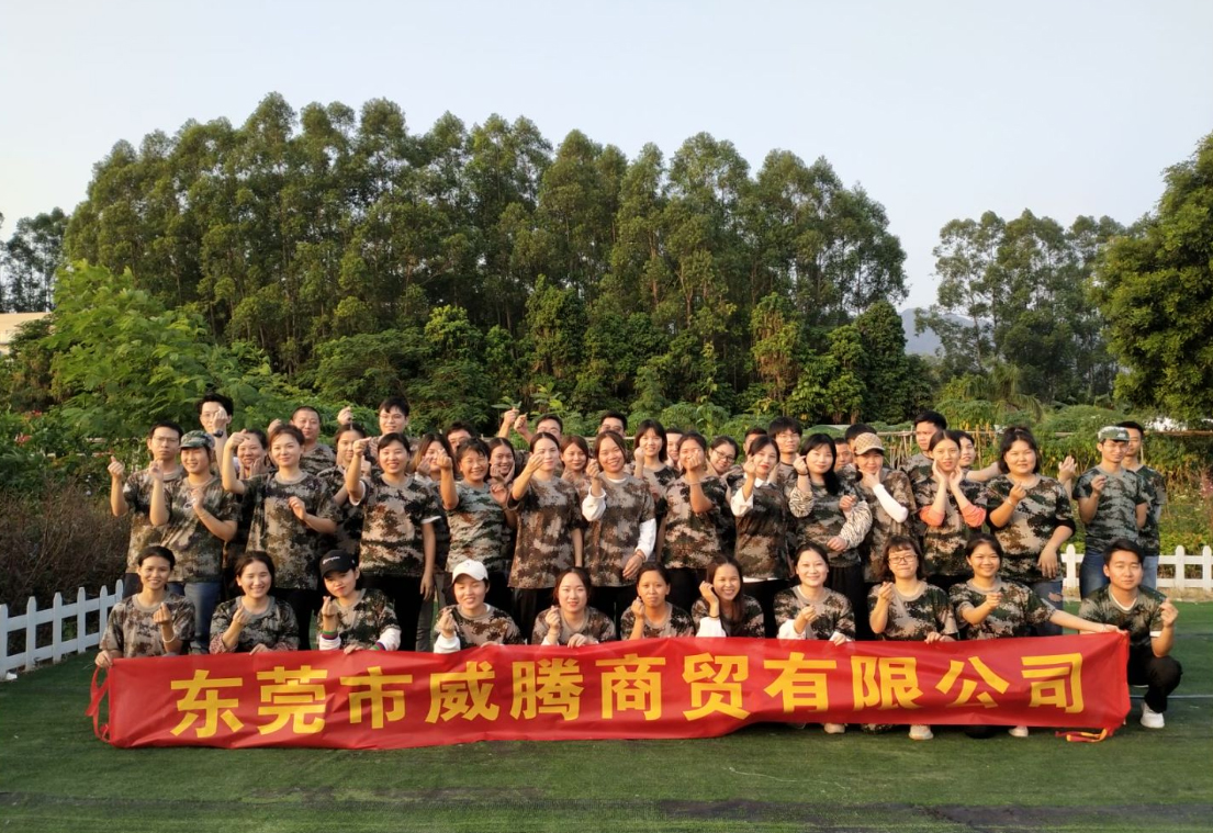 东莞市威腾商贸有限公司图1