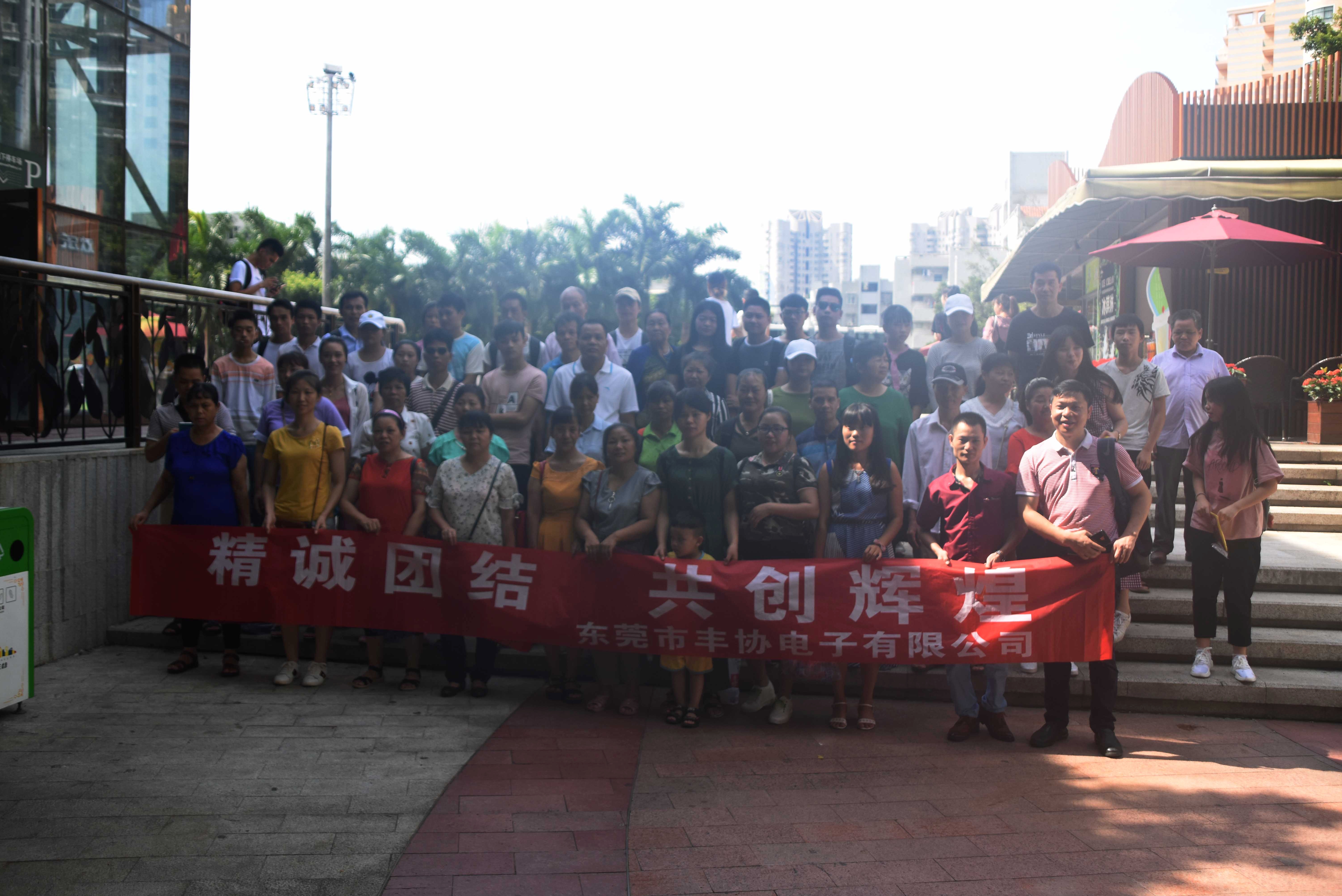 东莞市丰协电子有限公司图7