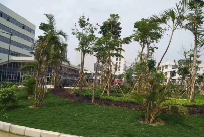 东莞市神彩新材料有限公司图4