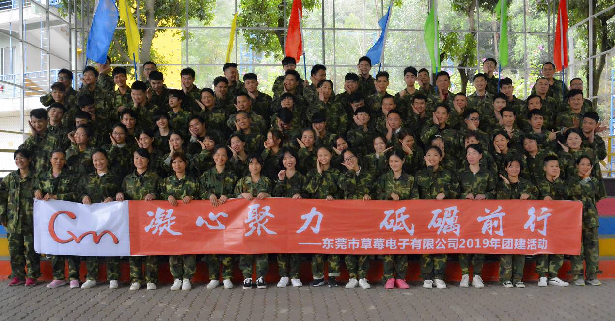 东莞市草莓电子有限公司图3