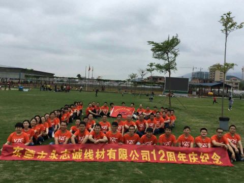 东莞市永志诚线材有限公司图1