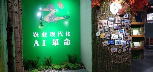 广东秋盛生态农业科技有限公司图5