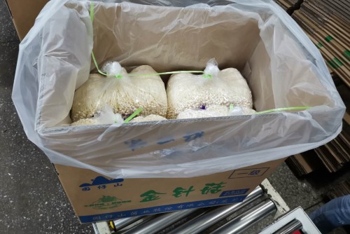 东莞市园仔山食用菌有限公司图9