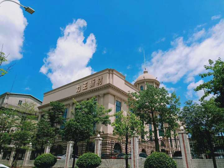 力王新材料(惠州)有限公司图1