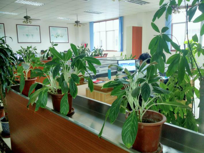 广东欧冠智能风机股份有限公司图5