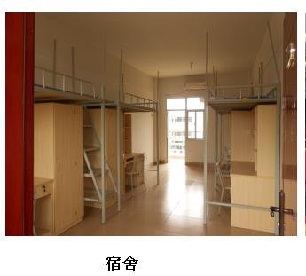 东莞市盛辉物流有限公司图5
