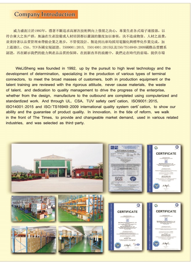 东莞威力盛电子有限公司图1