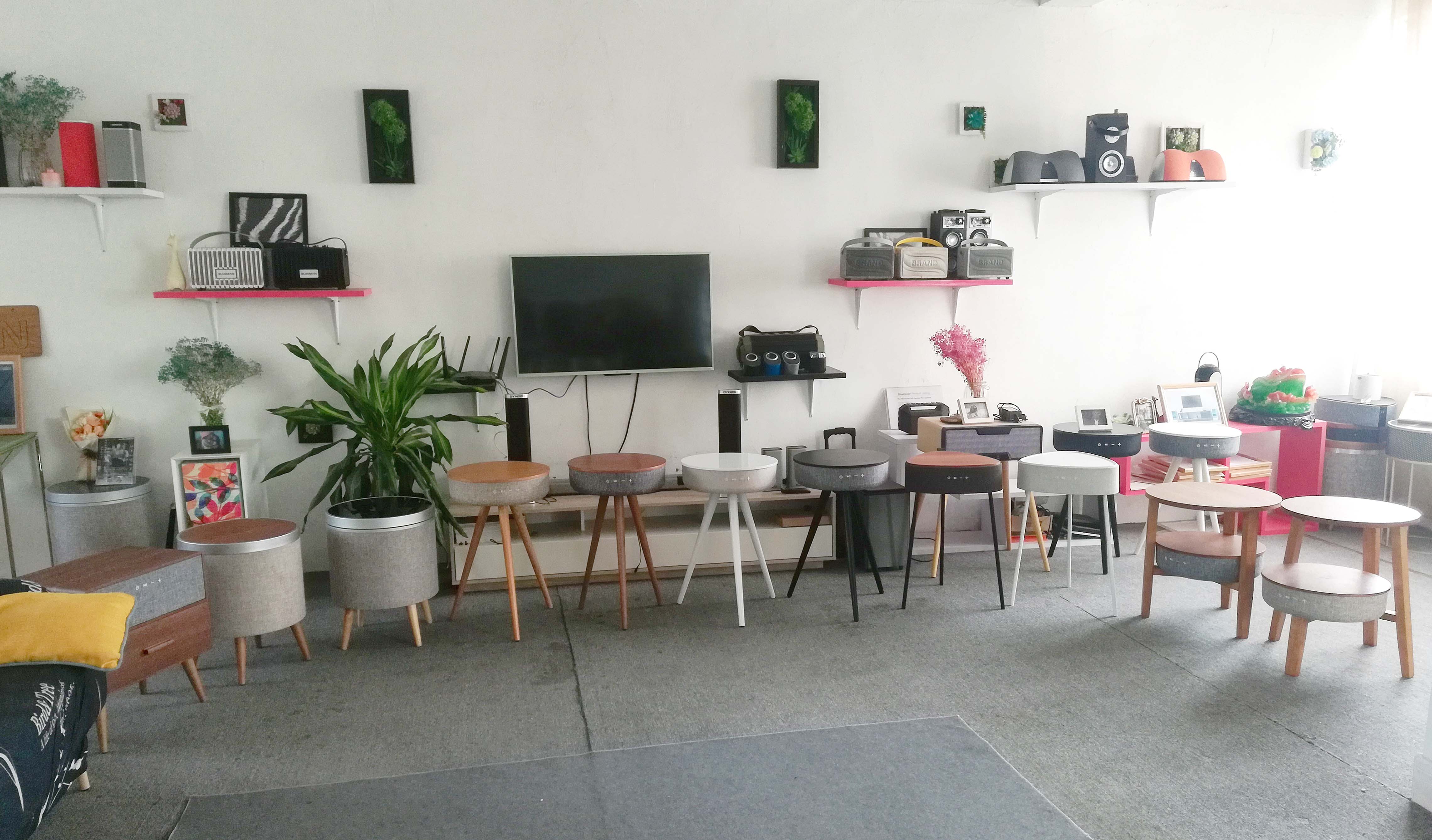 东莞市蓝人电子科技有限公司图2