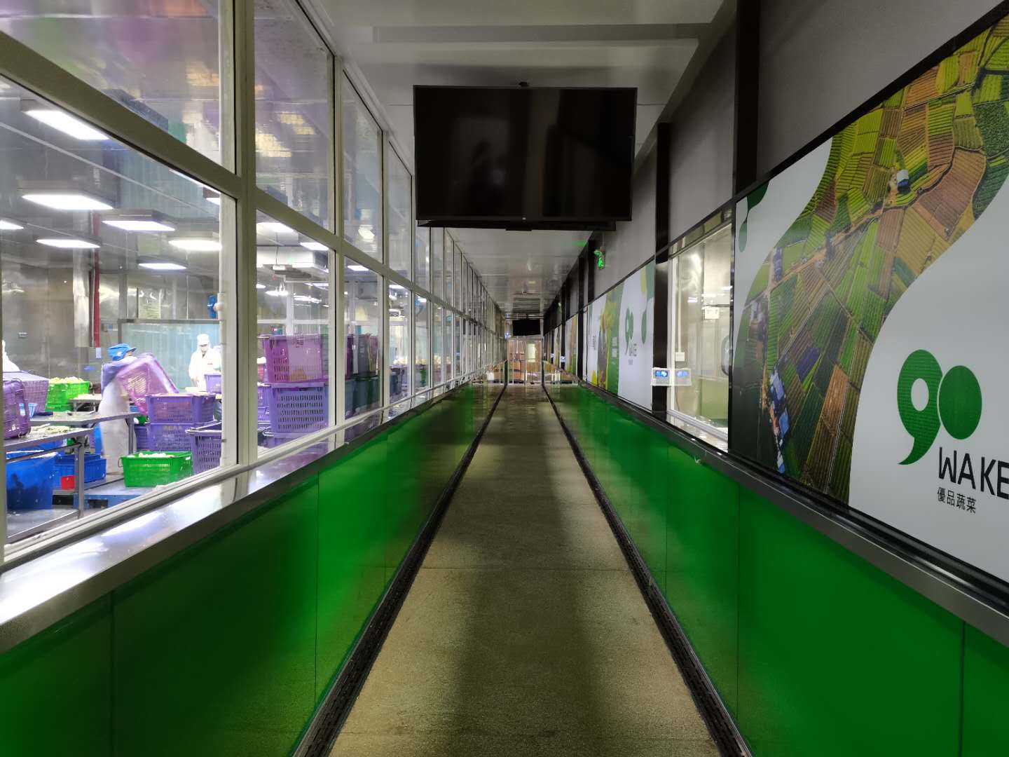 广东华记蔬菜有限公司图6